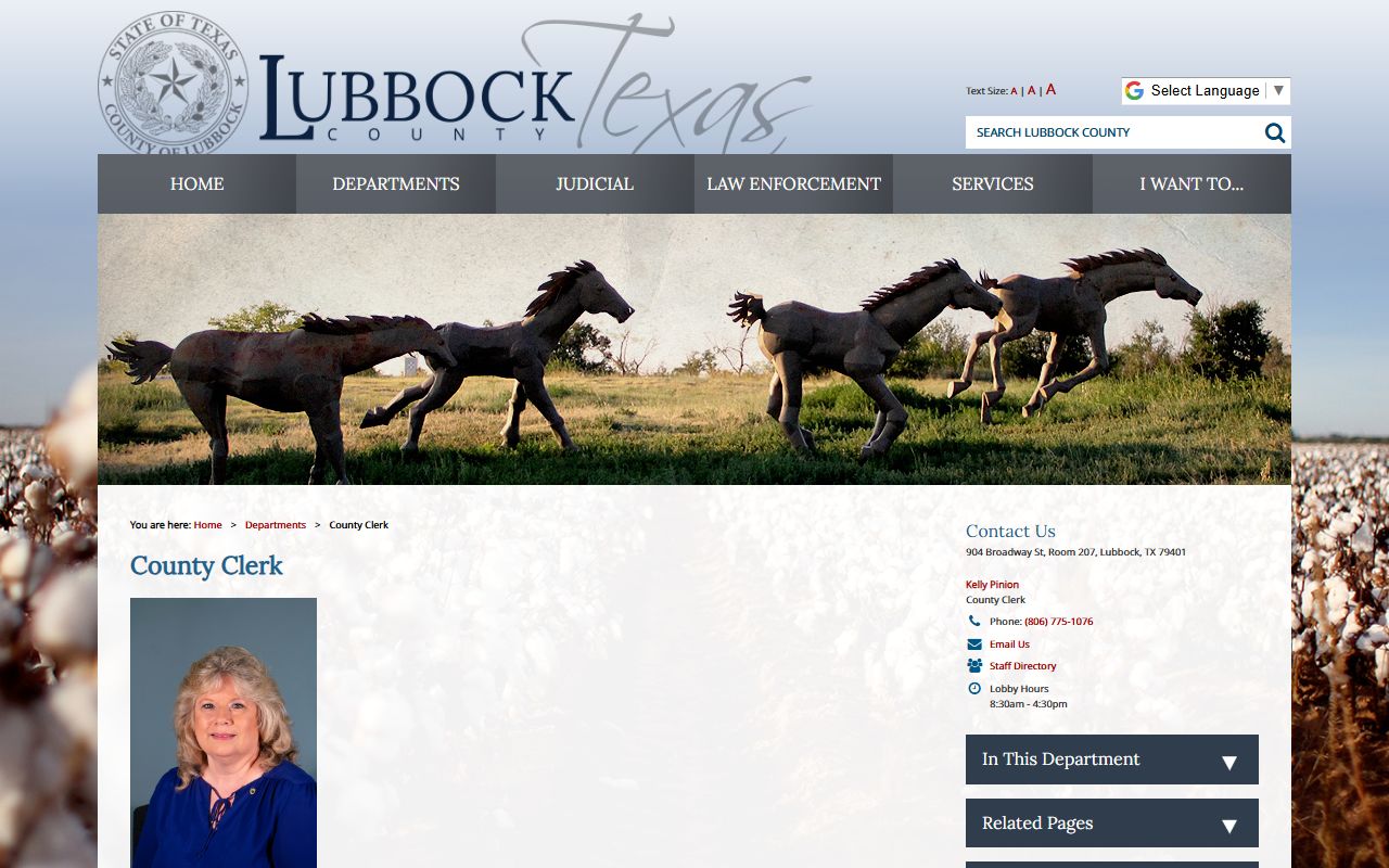 lubbock county death records